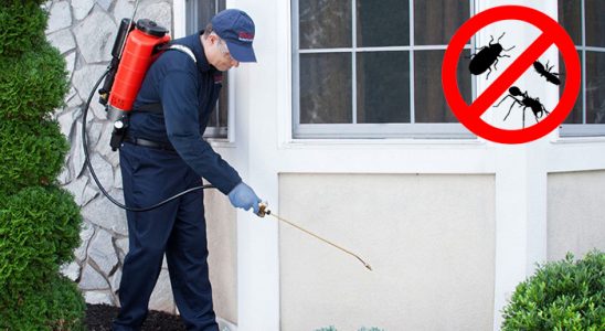 Çaybaşı Böcek İlaçlama böcek ilaçlama ve haşere kontrolü — ilaclama-tr.com